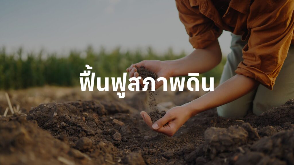 ฟื้นฟูสภาพดิน